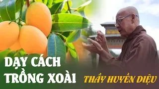 Thầy Huyền Diệu hướng dẫn người dân nghèo Ấn Độ trồng xoài cải thiện cuộc sống