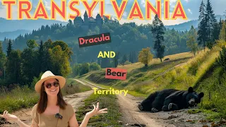 Inside Dracula's Castle and Searching for Bears in Transylvania