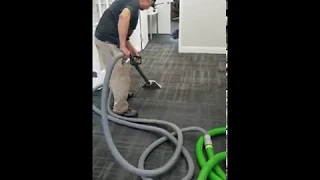 Carpet Water Removal