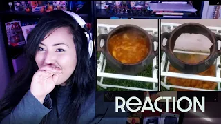 Shandab3ar Reacts: Videos Found on Reddit #108