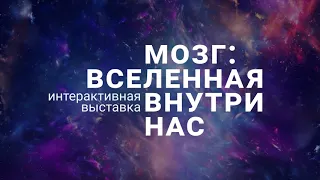 Хочешь развиваться - выйди из сети.Татьяна Черниговская