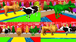 Waterfull Transfermation Animals Lion Dynachor Cow Rever Crossing Fountain Animals Video