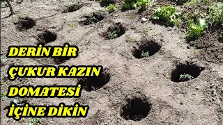 Domatesi Böyle Dikin, Farkı Görün