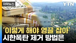 [자막뉴스] "대출 규제? 너무 늦은 거고요, 유일한 방법은..." / YTN