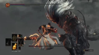 DARK SOULS III Nameless King (NG + 7), with Sellsword Twinblades