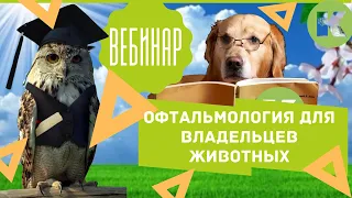 Вебинар. Офтальмология для владельцев животных. Болезни глаз. Ветклиника "Котонай".