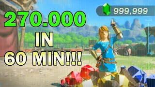 Unendlich Rubine Glitch in BotW😱! | Rubine farmen