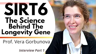 SIRT6 The Science Behind The Longevity Gene | Professor Vera Gorbunova Ep1