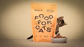 Smalls Cat Food: A Comprehensive Review [2023]