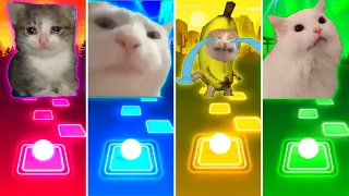 Sad Cat vs Vibing Cat vs Banana Cat vs Coffin Dance Cat - Tiles Hop EDM Rush