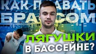 Плавание брассом. Как научиться плавать брассом за 45 минут? Техника рук и ног в брассе