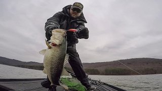 GoPro | Lake Guntersville | Day 1 Highlights