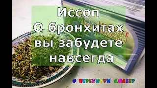 Иссоп. О бронхитах вы забудете навсегда