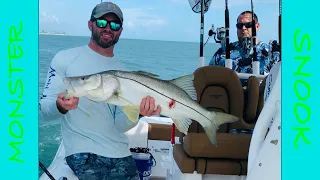 We Caught A MONSTER SNOOK during the mullet run 2020