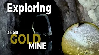 85. Gold Mine Littered with Fools Gold Everywhere