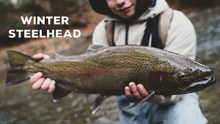 HOT PA Steelhead Fishing on Lake Erie Tribs! (January 2023)