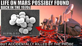 Did NASA Find Life on Mars in the 1970s But Killed It By Accident?