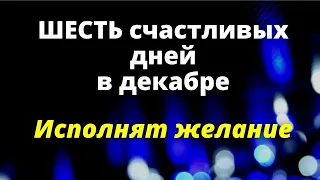 Шесть самых счастливых дней в декабре| Благоприятные дни декабрь 2021 | Дни силы