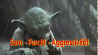 Meister Yoda zur aktuellen politischen Lage