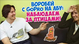 Наблюдение за птицами. Разговор с Василием Вишневским