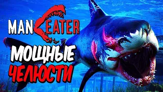 MANEATER ● Прохождение #2 ● НОВЫЕ МОЩНЫЕ ЧЕЛЮСТИ АКУЛЫ! НАПАДЕНИЕ АКУЛЫ НА ПЛЯЖЕ!