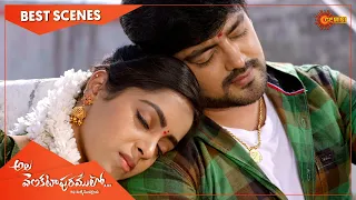 Ala Venkatapuramlo - Best Scenes | 17 Mar 2021 | Gemini TV Serial | Telugu Serial