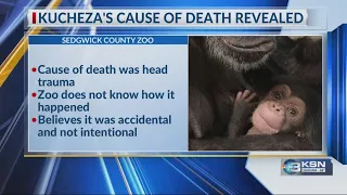 Sedgwick County Zoo reveals baby chimp's cause of death