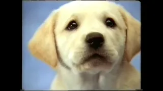 Andrex Bean Puppy promotion TV Commercial 1999