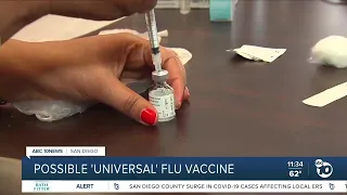 Possible 'universal' flu vaccine