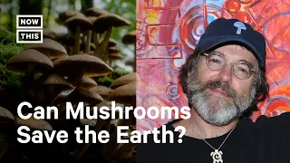 Mycologist Paul Stamets Explains How Mushrooms Can Save the Earth