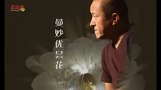 药师寺宽邦、黃慧音首次携手合作呈献：《曼妙优昙花 Brahmadevapuṣpa》宗萨钦哲仁波切长寿祈请文