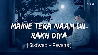 Maine Tera Naam Dil Rakh Diya (Slowed + Reverb) | Raghav Chaitanya | Ek Villain Returns | SR Lofi