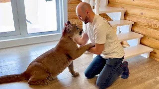 Messi before surgery. Removing the fang of Puma Messi. Part 1.