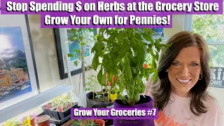 Stop Spending Money on Herbs at the Grocery Store -Grow Your Own For Pennies!/Grow Your Groceries #7