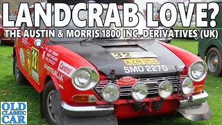 The Austin Morris 1800 "Landcrab" & derivatives (UK market)