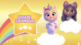 SIGUE LA MAGIA 🌟 VIDEOLLAMADAS CON LOS REYES MAGOS 🎆 BEBÉS LLORONES 💦 LÁGRIMAS MÁGICAS 💕 VIP PETS 🌈