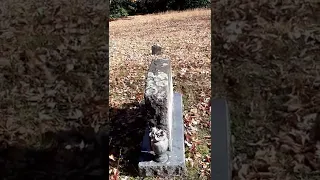 Blue Ridge Mountains/ old hidden cemetery. @musicnature4818