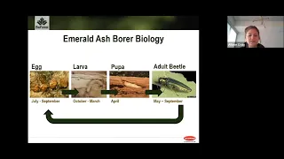 Existing and Potential Threats: Exploring Established Pests and Pathogens Forests Webinar Video