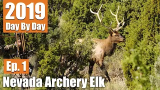 Full Draw On A 5-Point | 2019 Nevada Archery Elk with Scott Jones (Ep. 1)