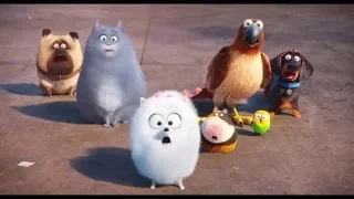 The Secret Life of Pets trailer by Mayo Movie World