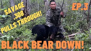 Manitoba Spring Bear Hunting 2021 Ep.3 | BLACK BEAR DOWN!