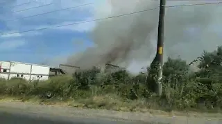 Пожар в Затоке: горит сухая трава и камыша возле отельного комплекса «Променад»