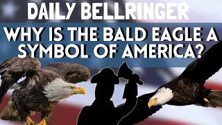 Why is the Eagle a symbol of America? | Daily Bellringer