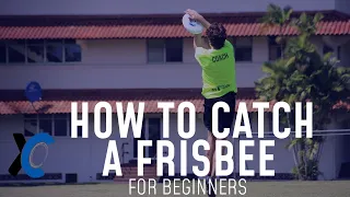 How to Catch a Frisbee for Beginners