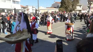 Sardegna - Sartiglia Oristano (2023) (1)