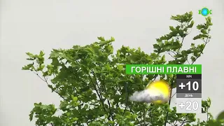 🌤Погода на 25 КВІТНЯ/ Погода на завтра