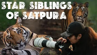 Star Siblings of Satpura | One of my Best Sightings of Satpura Tiger Reserve | ATR DAILY VLOG - 24