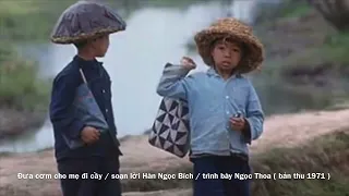 ĐƯA CƠM CHO MẸ ĐI CÀY / sáng tác Hàn Ngọc Bích / Trình bày : Ngọc Thoa ( thu năm 1971 của Đài VOV )