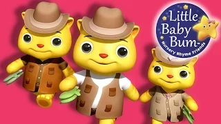 Three Little Kitten | Nursery Rhymes for Babies by LittleBabyBum - ABCs and 123s