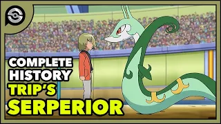Trip's Serperior: From Snivy to POWERHOUSE | Complete History
